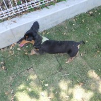 2014_05045-2ゆずちゃん