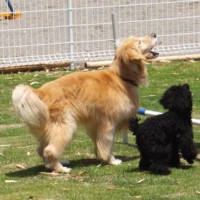 2014_05245-18うずきかげつくん