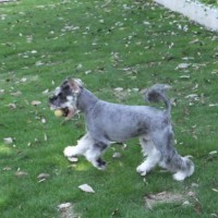 2014_05305-23まめちゃん２