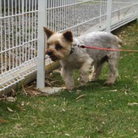 2014_05045-2しんじ君