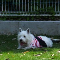 2014_05285-22ももちゃん