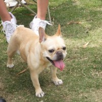 2014_05045-2ギャルちゃん2