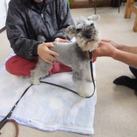 2014_05055-3ハロカイロ