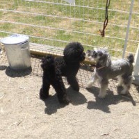 2014_05045-2めーちゃんともぐちゃん