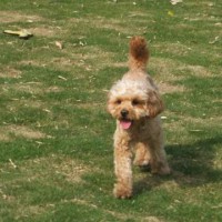 2014_05045-2むさしくん