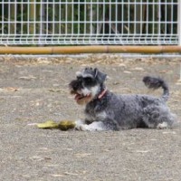 2014_05045-2まるちゃん