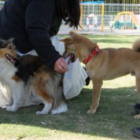 2014_05185-14たろうくん