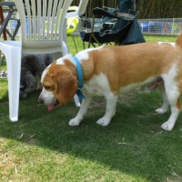 2014_05315-24ムサシ君