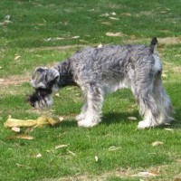 2014_05285-22クレアちゃん