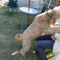 2014_05075-5クレアくん