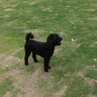 2014_05125-9カール君