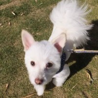 2014_05185-14こうすけくん