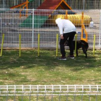 2014_05245-18さくらちゃん２