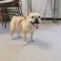 2014_05105-8ギャルちゃん