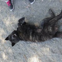 2014_05175-13さくらちゃん