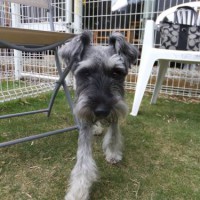 2014_05095-7ロイ君