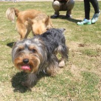 2014_05035-1あずちゃんりんちゃん