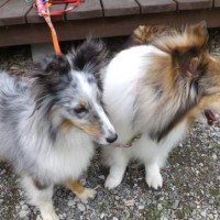 2014_05275-21まどかちゃん