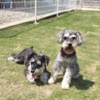 2014_05075-5ムックくんとマーヤ