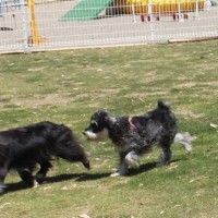 2014_05195-15まるちゃん