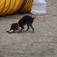 2014_05055-3クウちゃん２