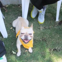 2014_05045-2サキちゃん