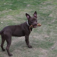 2014_05205-16サラちゃん