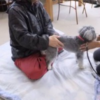 2014_05055-3マーヤカイロ