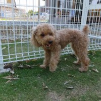 2014_05135-10ちーちゃん