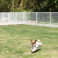 2014_05185-14くぅちゃん