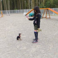 2014_05055-3チャッピーちゃん