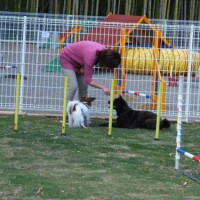 2014_05175-13くぅさくら