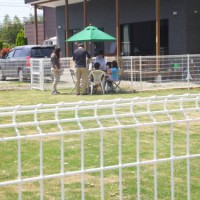 2014_05035-1パラソル