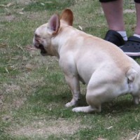 2014_05205-16サキちゃん