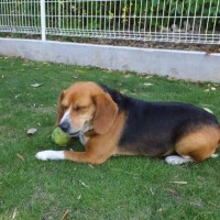 2014_05165-12りーちゃん