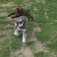 2014_05275-21ララめー