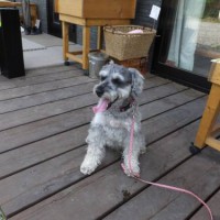 2014_05315-24らんちゃん