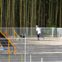 2014_05275-21ハピちゃん