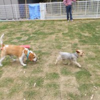 2014_05055-3しんじくんむさしくん