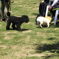 2014_05045-2もぐちゃん咲ちゃん