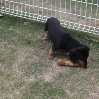 2014_05205-16ゆずちゃん