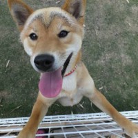 2014_05245-18たろうくん