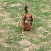 2014_05055-3クウちゃん