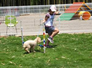 2014_06296-16ふうちゃん