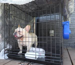 2014_06296-16サキちゃん