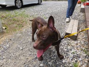 2014_06256-14サラちゃん