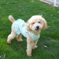 2014_06146-7ふうちゃん