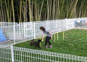 2014_06296-16さくらちゃん