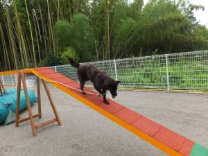 2014_06256-14さくらちゃん２