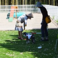 2014_06016-1むっく２